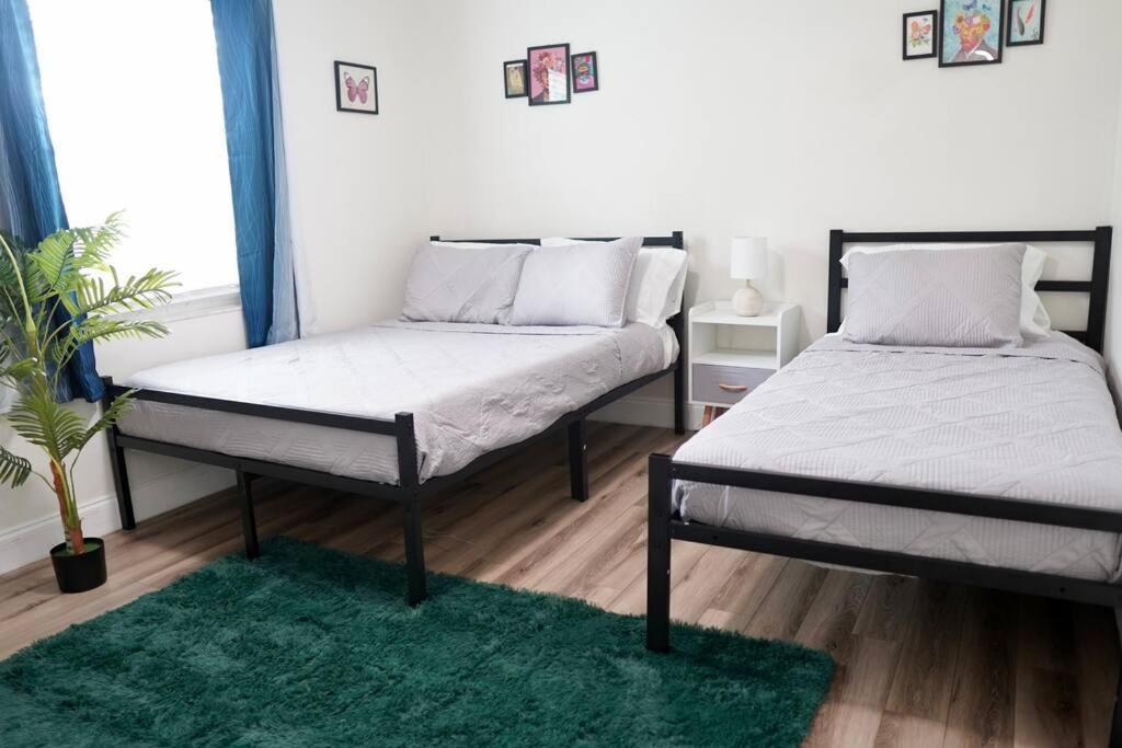 Jay'S Cozy Arts Apartment Тампа Екстериор снимка