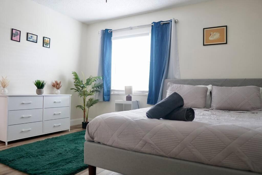 Jay'S Cozy Arts Apartment Тампа Екстериор снимка